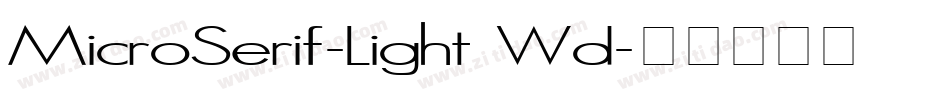 MicroSerif-Light Wd字体转换